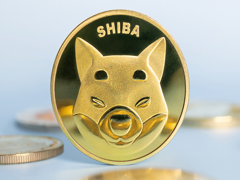 Shiba Inu a Dogecoin sú v neistote. Ďalšia minca sa ale chystá vystreliť