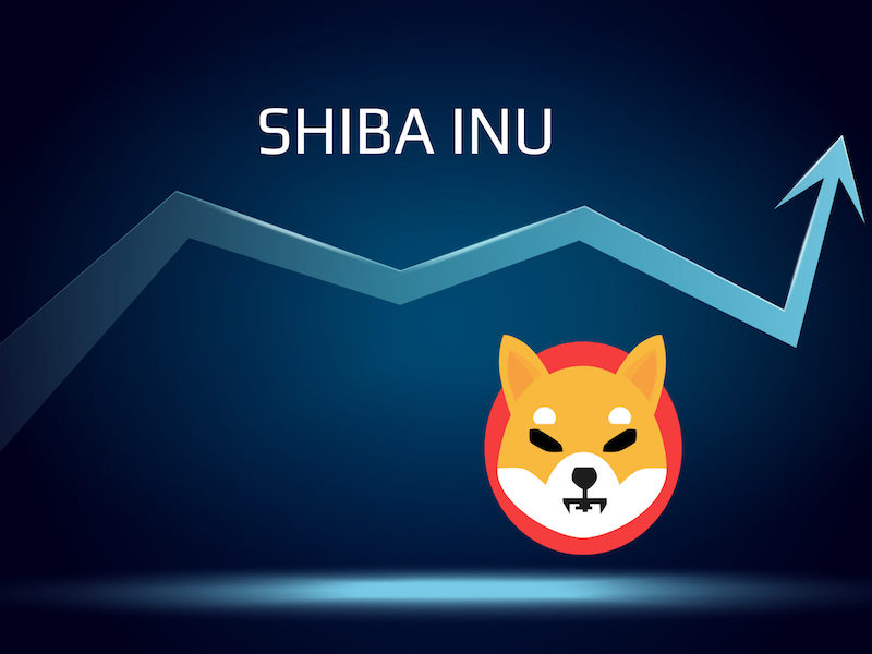 Shiba Inu se připravuje na růst – Jaký má letos potenciál?